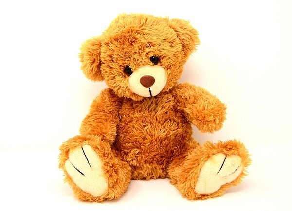 Teddy Bear