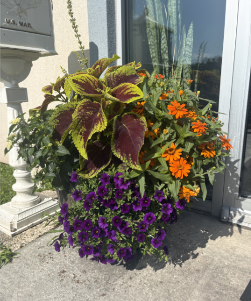 Seasonal Planters